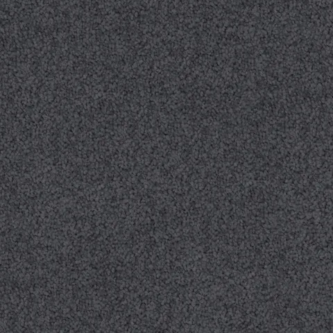 Dark Whale carpet swatch